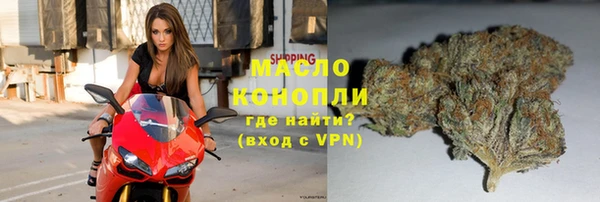 гашик Горняк