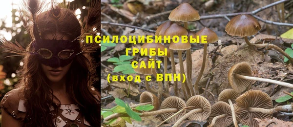 jwh Горно-Алтайск