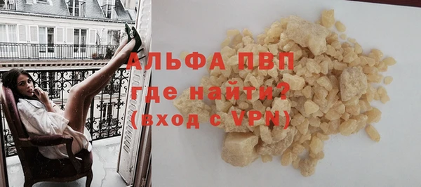 гашик Горняк
