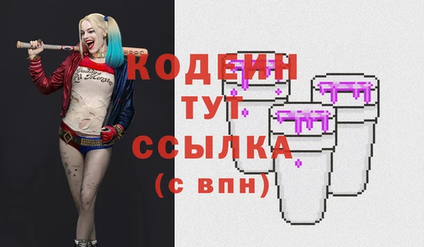 гашик Горняк