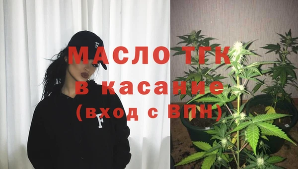 гашик Горняк